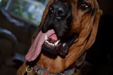 th_DSC_0015.jpg