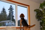 th_DSC_0029.jpg