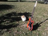 th_DSCN3418.jpg