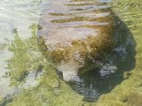th_IMG_20100829_150540.jpg
