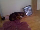 th_IMG_20101115_093950.jpg