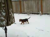 th_IMG_20101122_105328.jpg