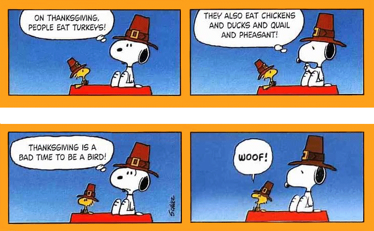 thanksgiving-Peanuts3.gif