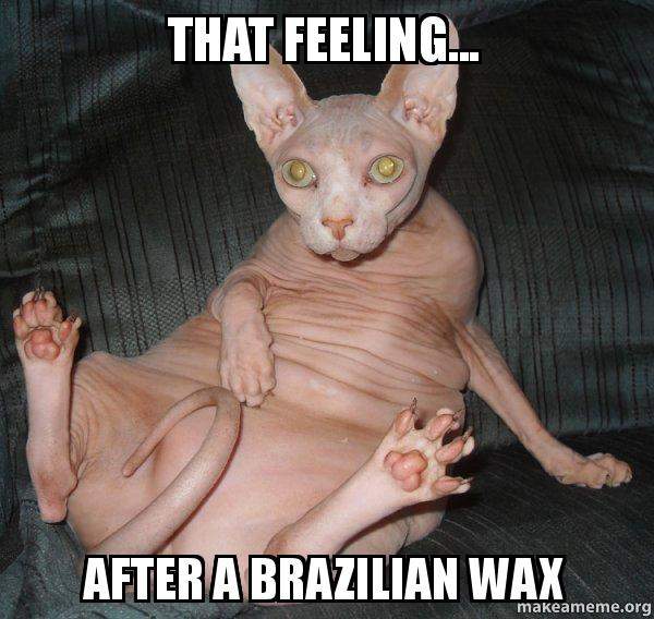 that-feeling-after-p36xpr.jpg