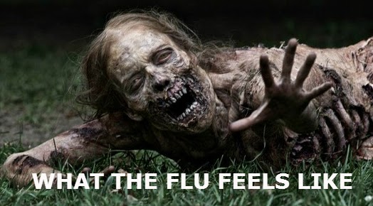 THE%2BFLU.jpg