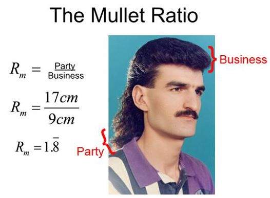 the mullet ratio.jpg