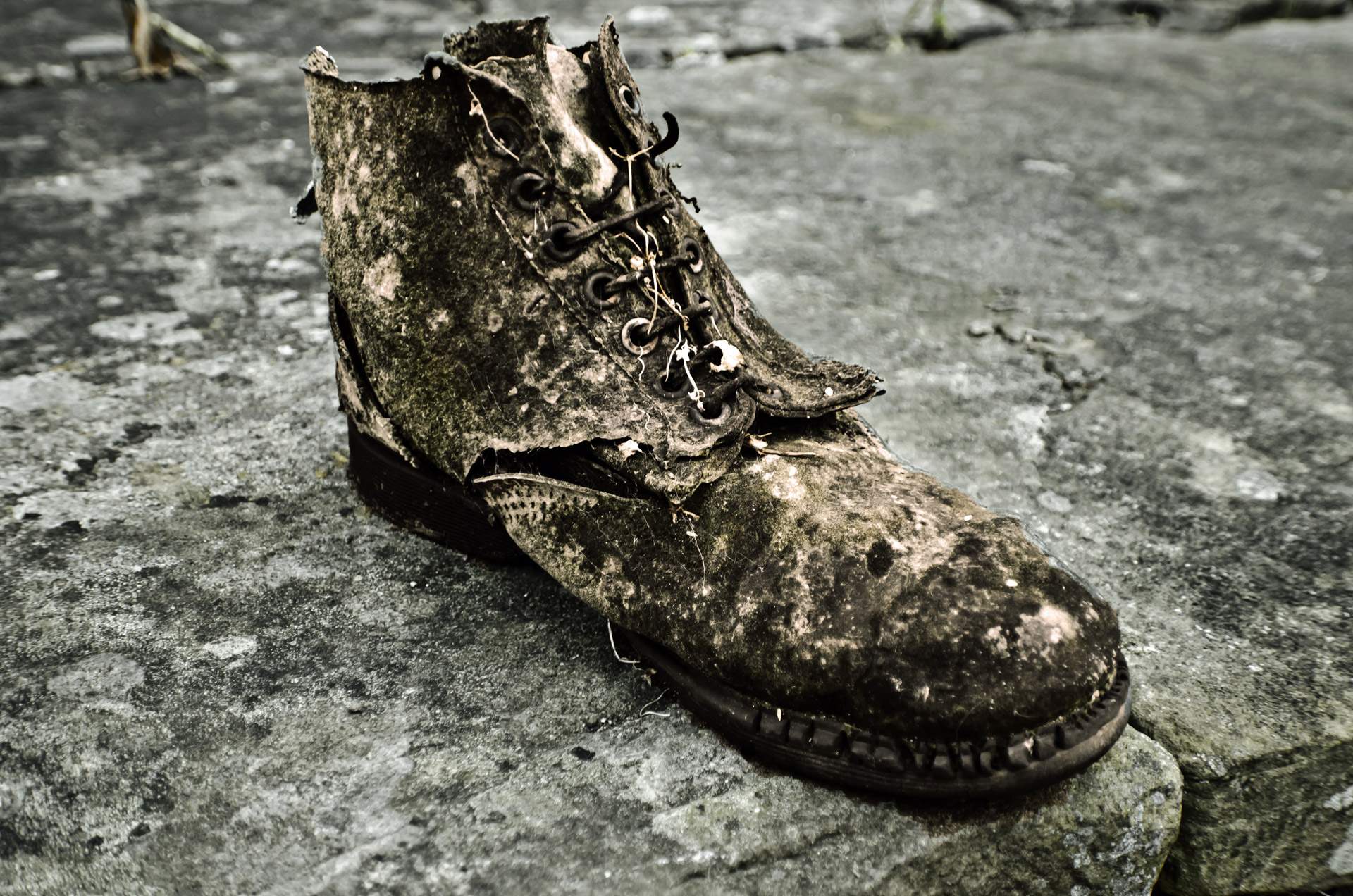 the-old-shoe.jpg