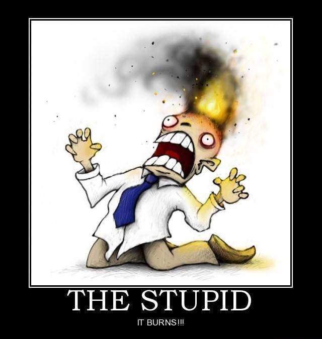 The Stupid.jpg