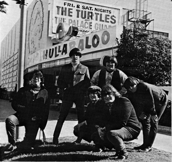 The-Turtles.jpg