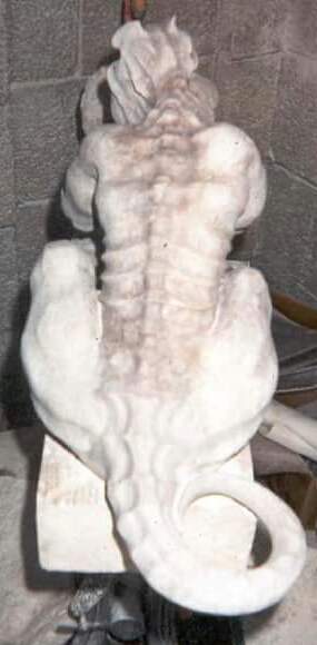 Thebadback-1.jpg
