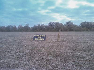 TheCornMaze.jpg