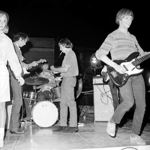 TheMonkees.jpg