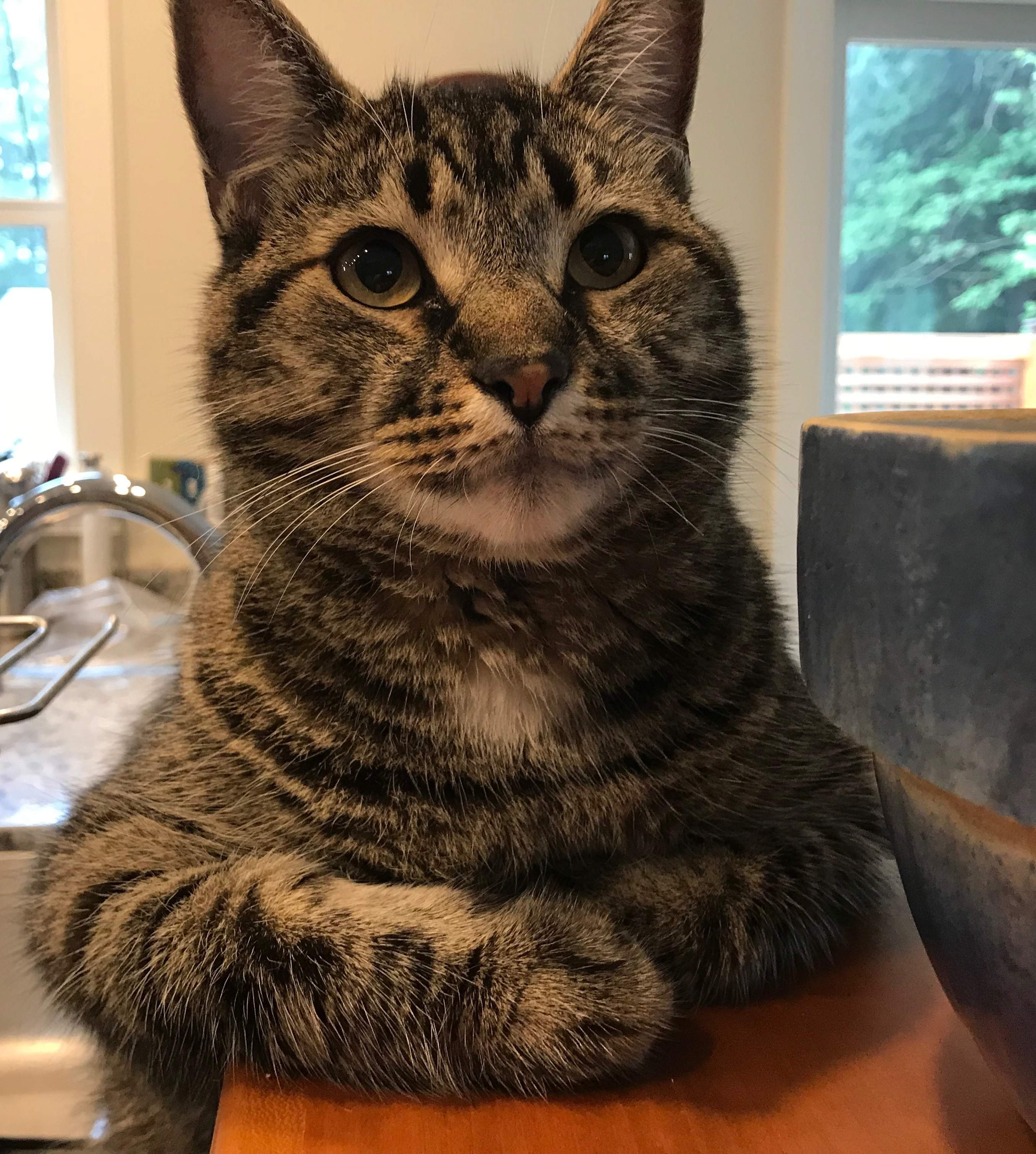Theo interview pose.jpeg