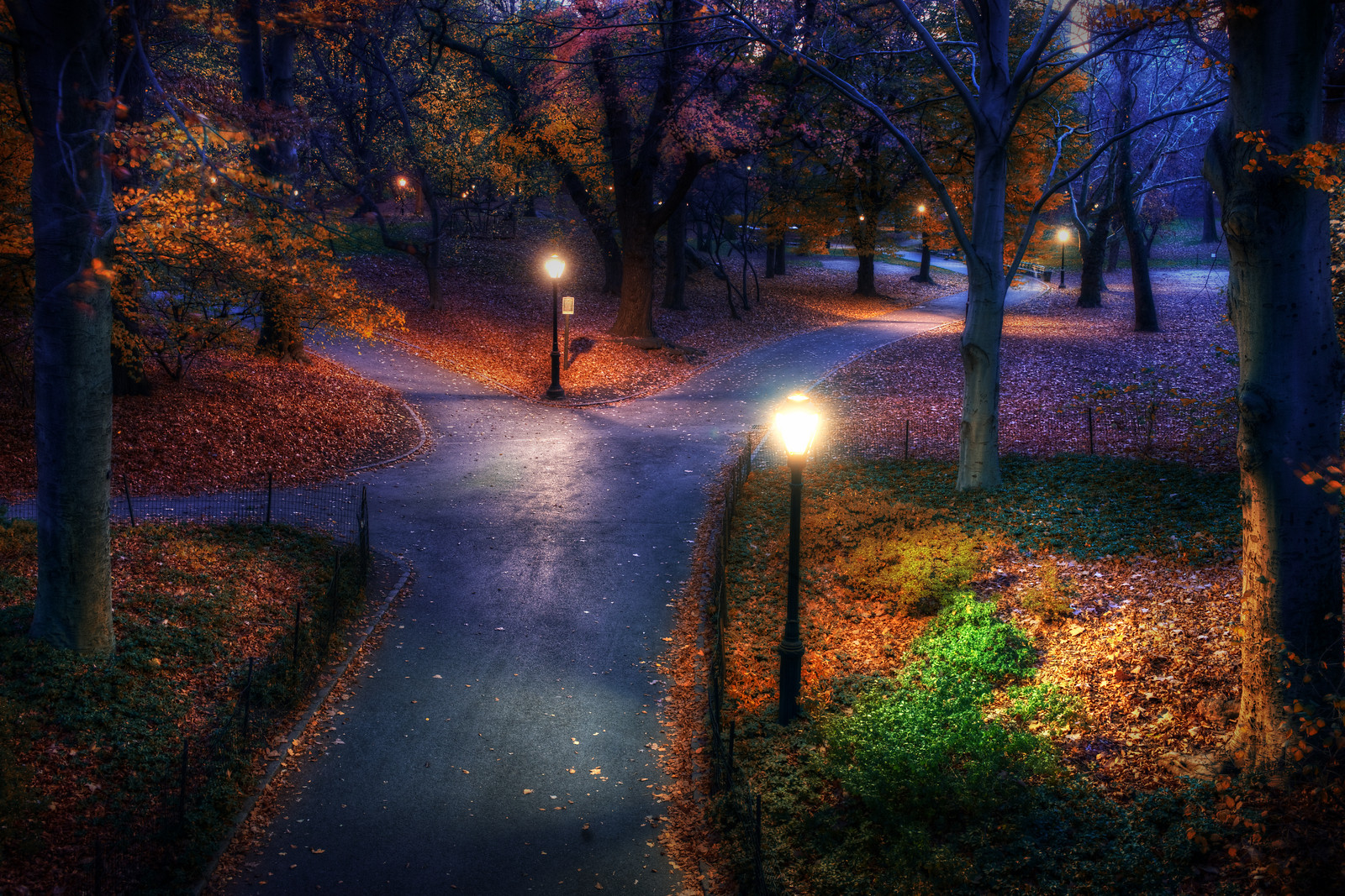 thepark-X3.jpg