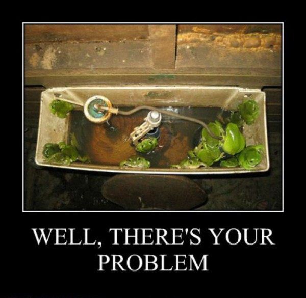 Theres_Your_Problem368.jpg