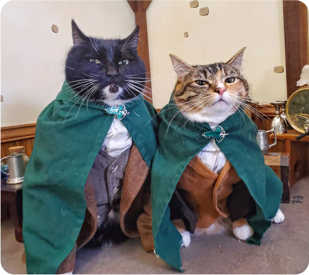They were told there would be no second breakfast.png