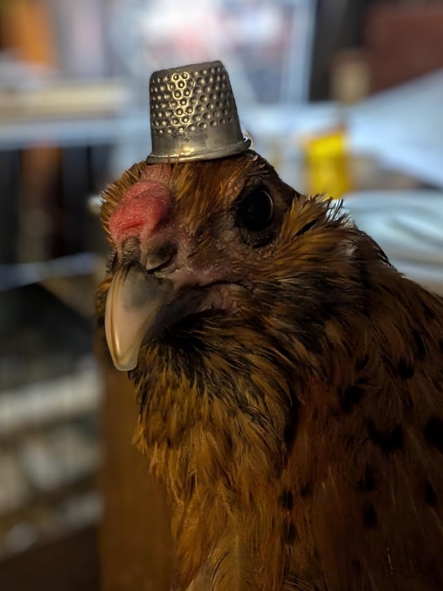 thimble-hat-v0-l1syw7tm6r0e1.jpeg
