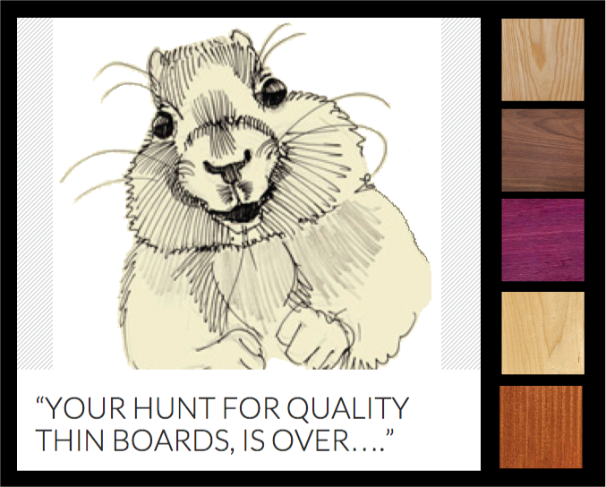 ThinBoards.png