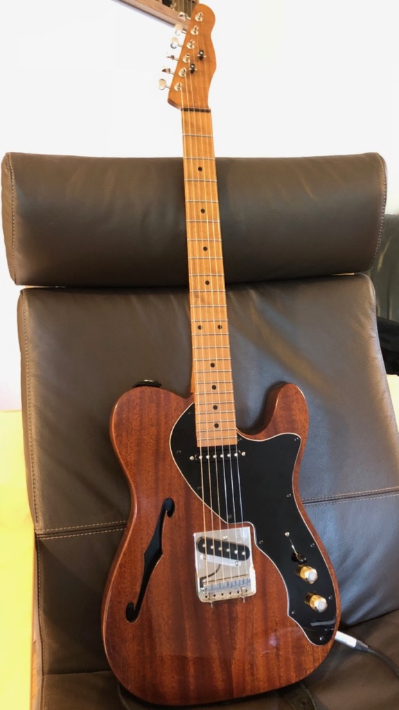 Thinline BGP Wylde Black PG - 1.jpg