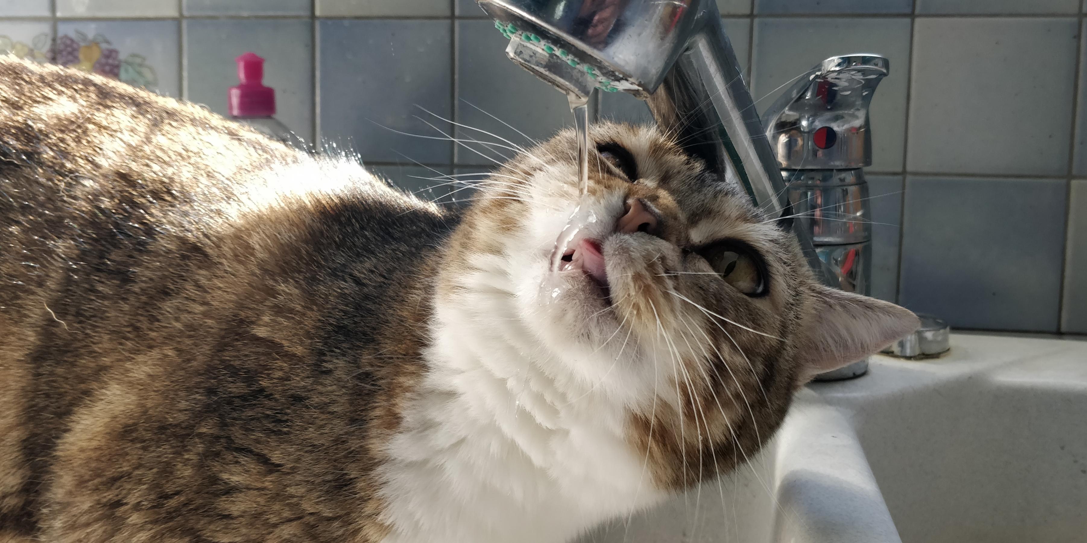 thirsty.jpeg
