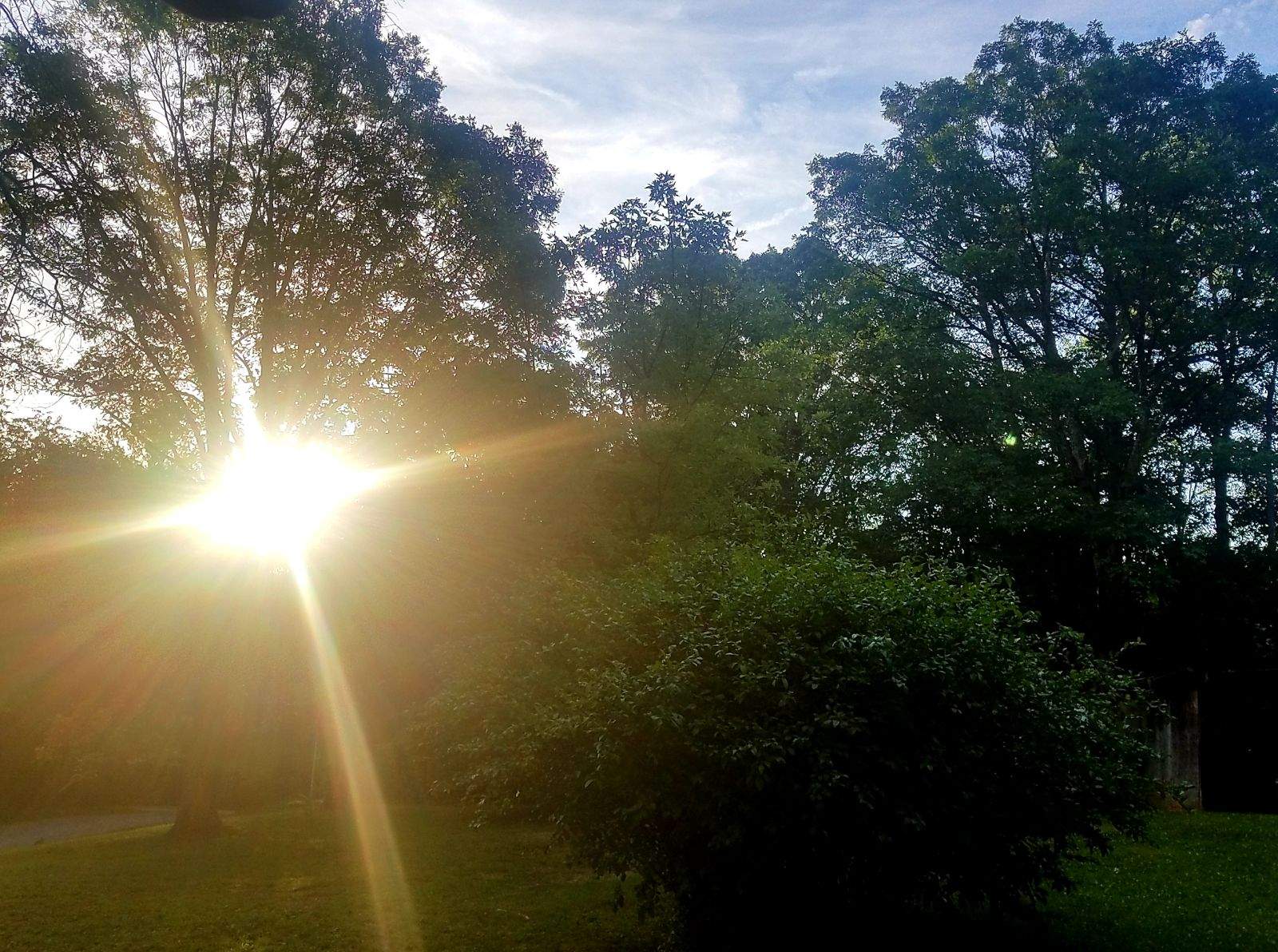 This Morning.jpeg