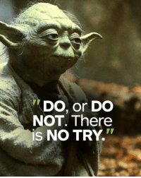 thumb_do-or-do-not-there-is-no-try-keep-this-10544757.png