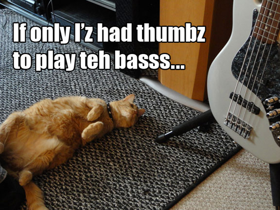 thumbz_zpsaa7d69e1.jpg