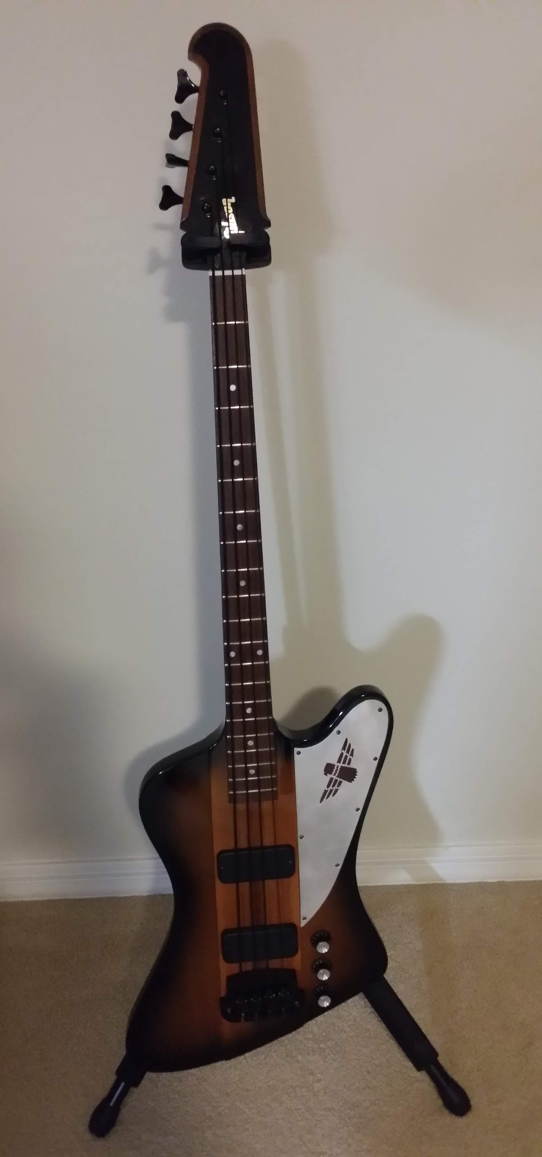Thunderbird bass .jpg