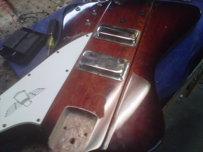 ThunderBird-buckers.jpg