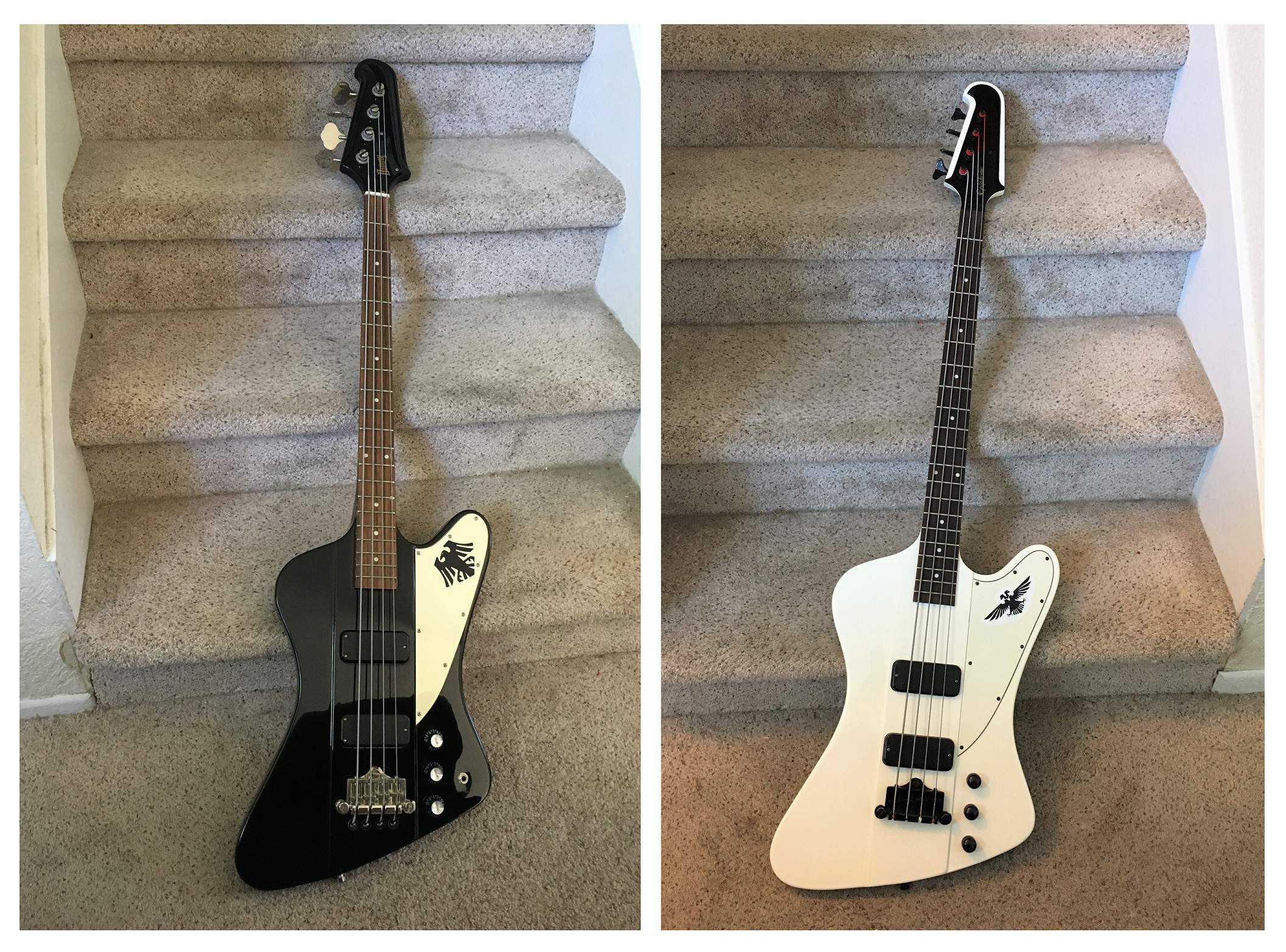 Thunderbird Pair.jpg