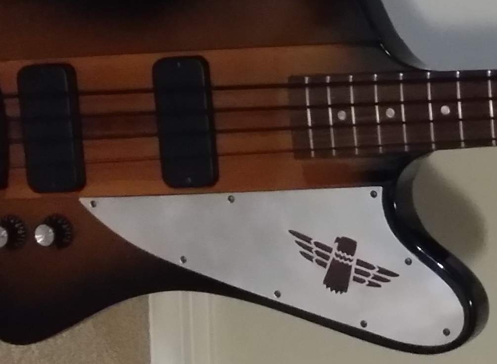 Thunderbird pickguard.jpg