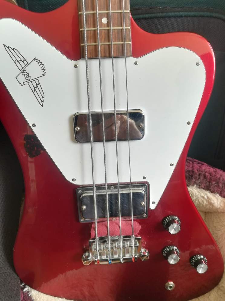Thunderbird with mute.jpg