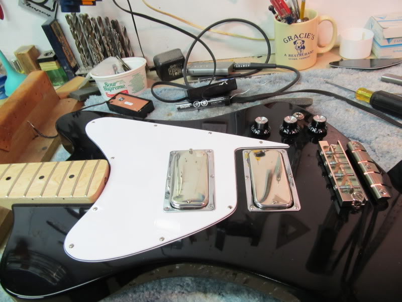 Thunderbuckersblacktbird005.jpg