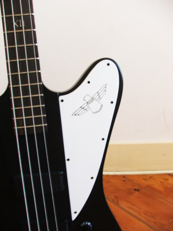 thunderdoroh-Pickguard.jpg