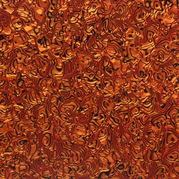 Tiger-Eye-Shell.jpg