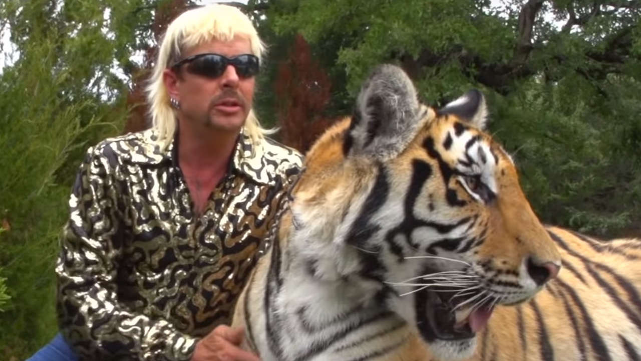 tiger.jpg