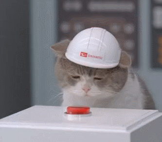 TightAmusedKakarikis-small.gif