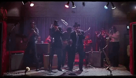 TightGenuineGnat-small.gif