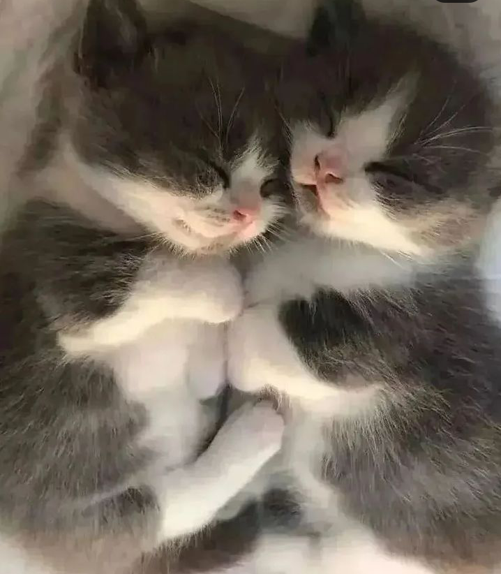 Time for a nap!.png