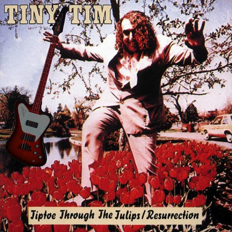 tINY tIM.jpg