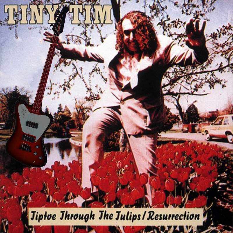 tINY tIM.jpg