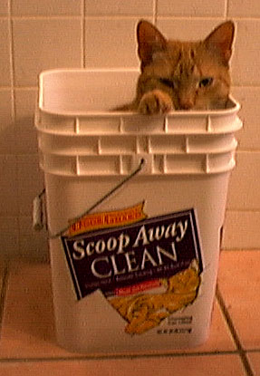titan-in-bucket.jpg