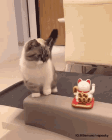 tmp.gif