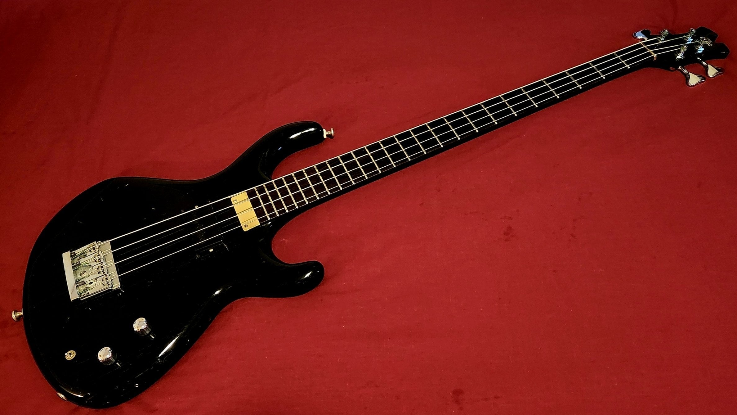 Tobias Basic 4 (angled).jpg