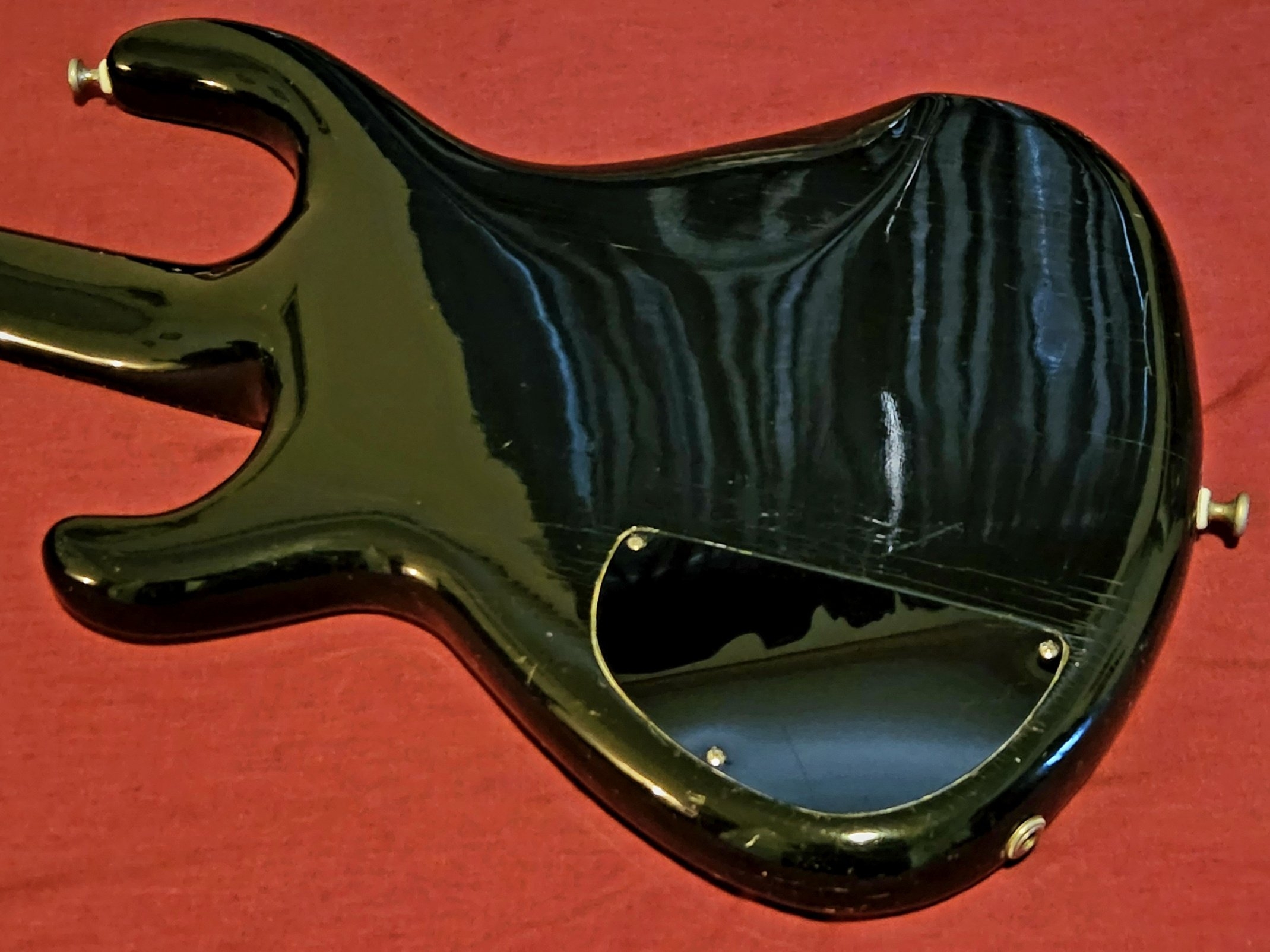 Tobias Basic 4 (back, close).jpg