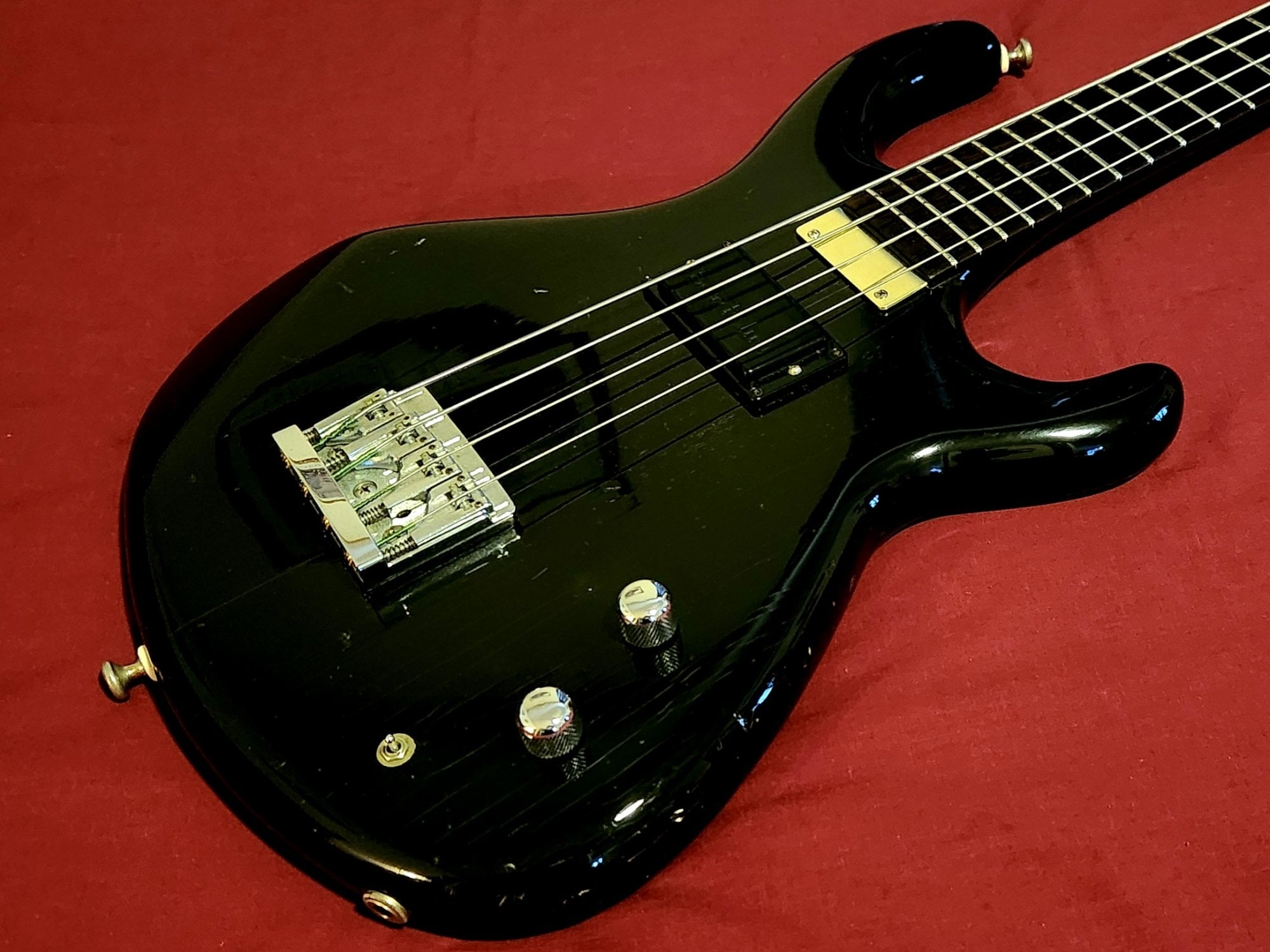 Tobias Basic 4 (front, close).jpg