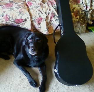 Tobywithcase-1.jpg