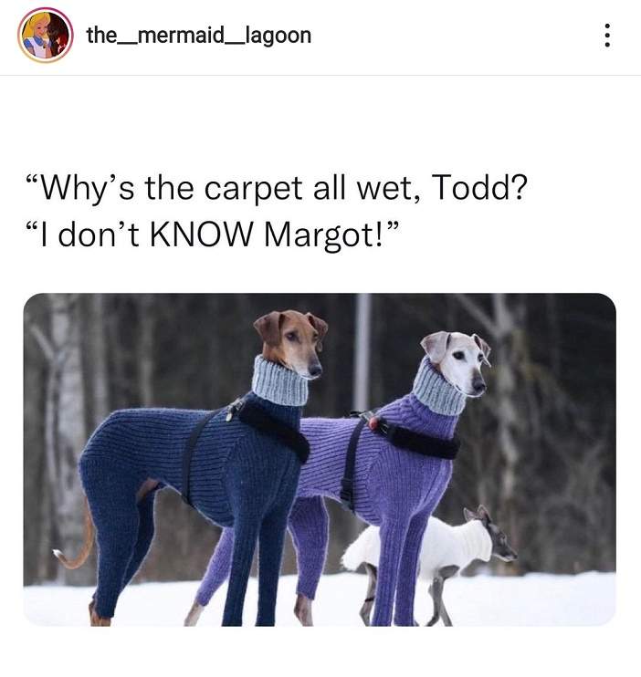 todd margot dogs.jpg