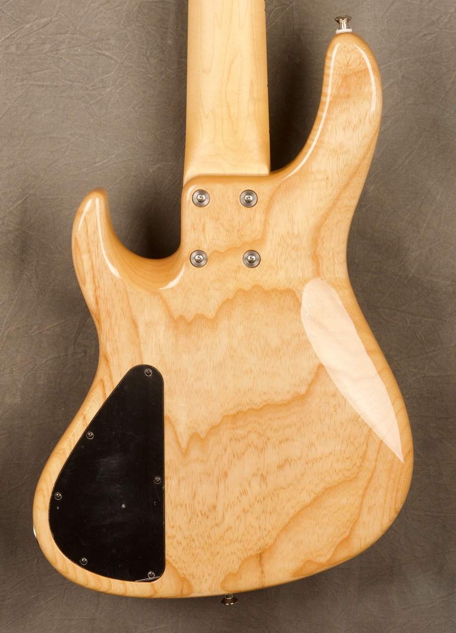 Todd's Sadowsky NYC 5 body back.jpeg