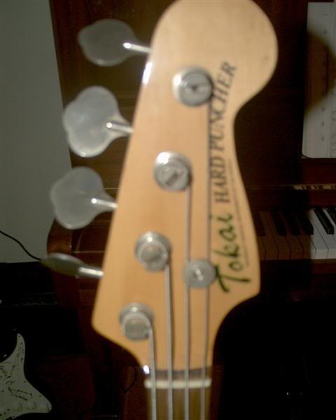 tokai004Medium.jpg